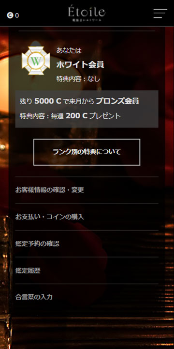 お支払いページ